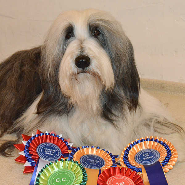 July 16, 2012: with her NW&PB rosettes