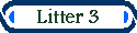 Litter 14